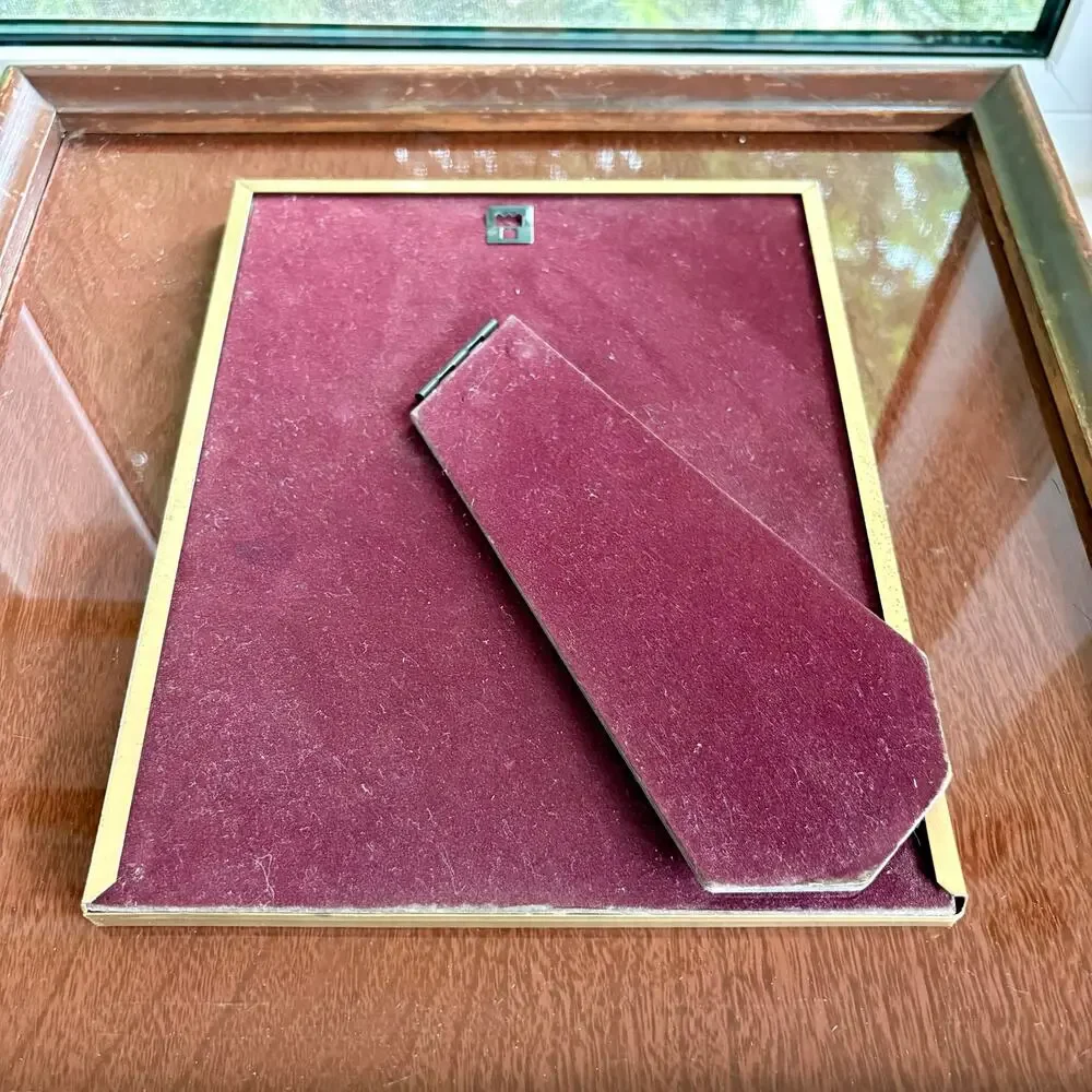 Vintage Gold Tone 8x10 Frame Tinted Glass Velvet Back